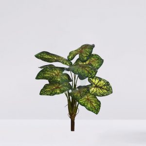 PLANTA CALADIUM 51CM