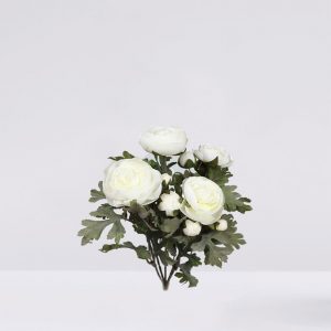 Planta De Ranunculos, 30 Cm