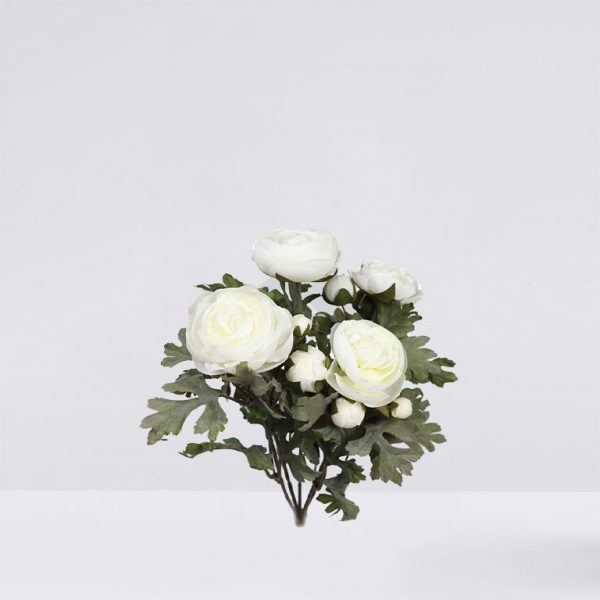 Planta De Ranunculos, 30 Cm - Imagen 1