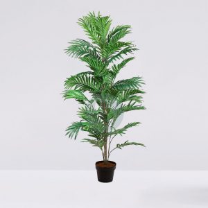 Palmera Areca En Maceta 122Cm