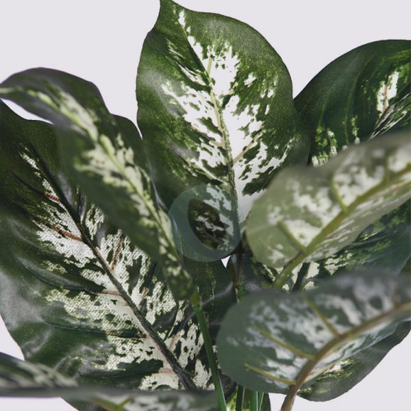 Planta Difembachia Artificial Delux Alt 46Cm - Imagen 2