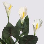 CALA LILY 61CM - Imagen 2