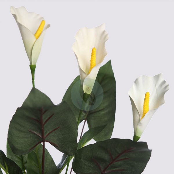 66597.01_2.jpg CALA LILY 61CM - Imagen 2