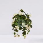 Mata Geranio Colgante 60Cm