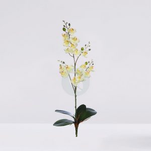Planta Orquidea 50Cm