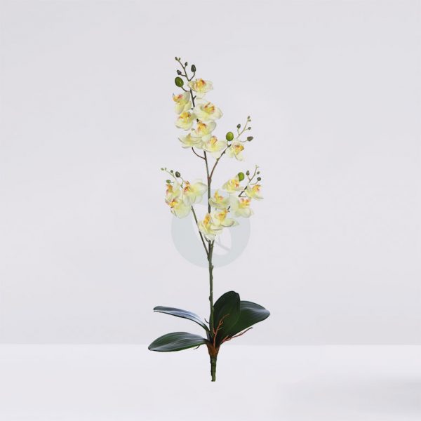 Planta Orquidea 50Cm - Imagen 1