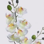 Planta Orquidea 50Cm - Imagen 2