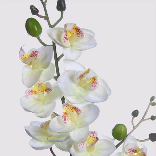 Planta Orquidea 50Cm - Imagen 2