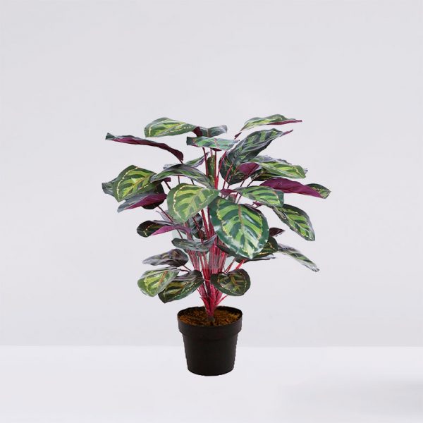 69681M.jpg Planta Amaranta Artificial Con Maceta 60Cm - Imagen 1
