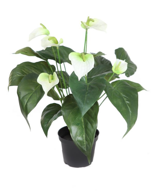 69687.01.jpeg Planta Anturium Artificial, Alt 43Cm - Imagen 1