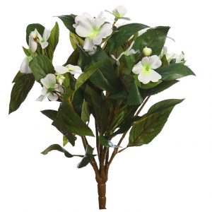 Planta Impatient 35Cm