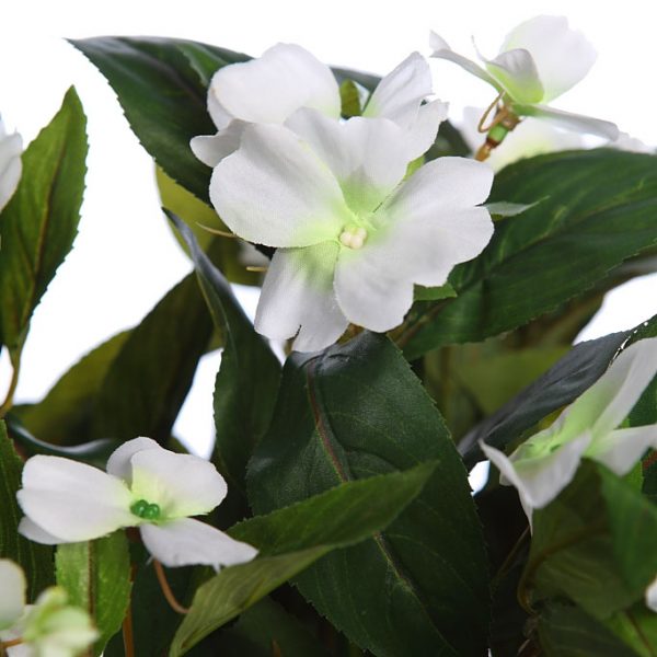 Planta Impatient 35Cm - Imagen 2