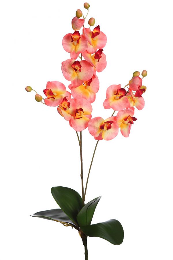 69771.05.jpeg Orquidea Falenosis, 56 Cm - Imagen 1