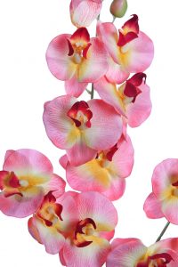 Orquidea Falenosis, 56 Cm - Imagen 2