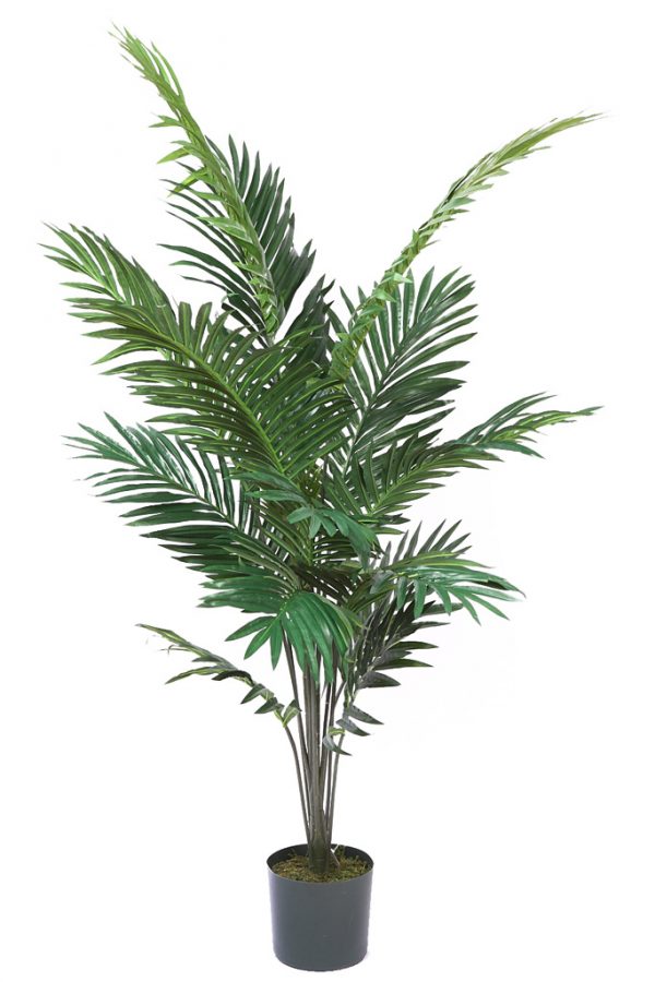 Palmera Paraiso Con Maceta 170Cm - Imagen 1