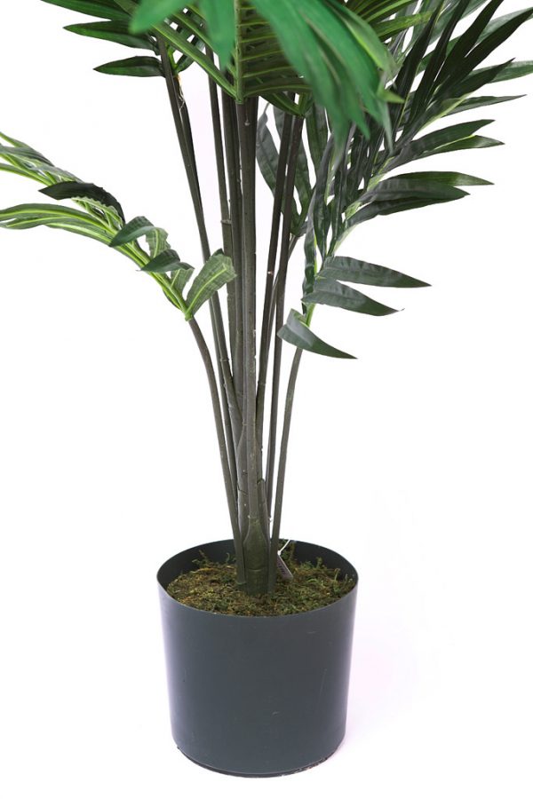 Palmera Paraiso Con Maceta 170Cm - Imagen 3