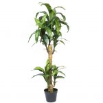 Planta Yuca Artificial 153Cm