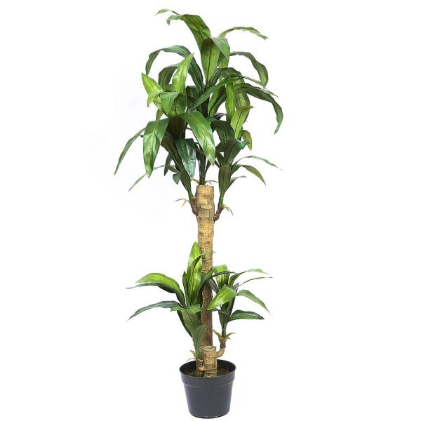 70418.jpeg Planta Yuca Artificial 153Cm - Imagen 1