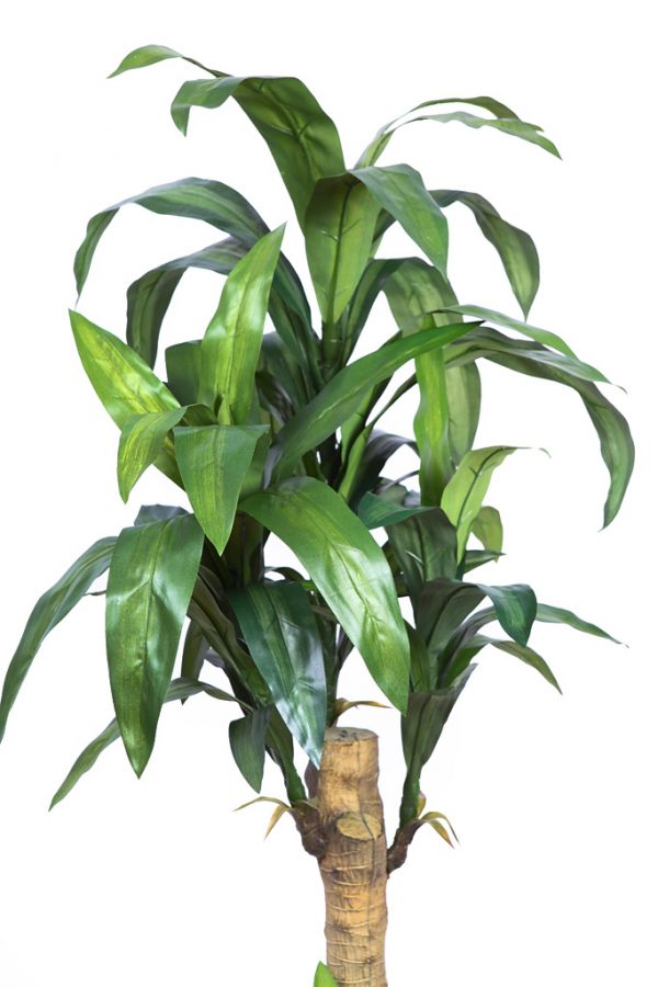 70418_2.jpeg Planta Yuca Artificial 153Cm - Imagen 2