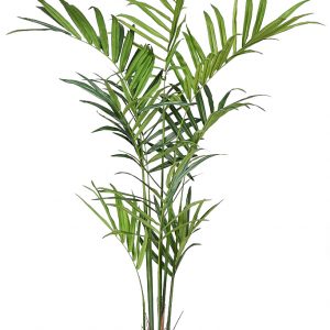 Planta Kentia Artificial Deluxe 210Cm