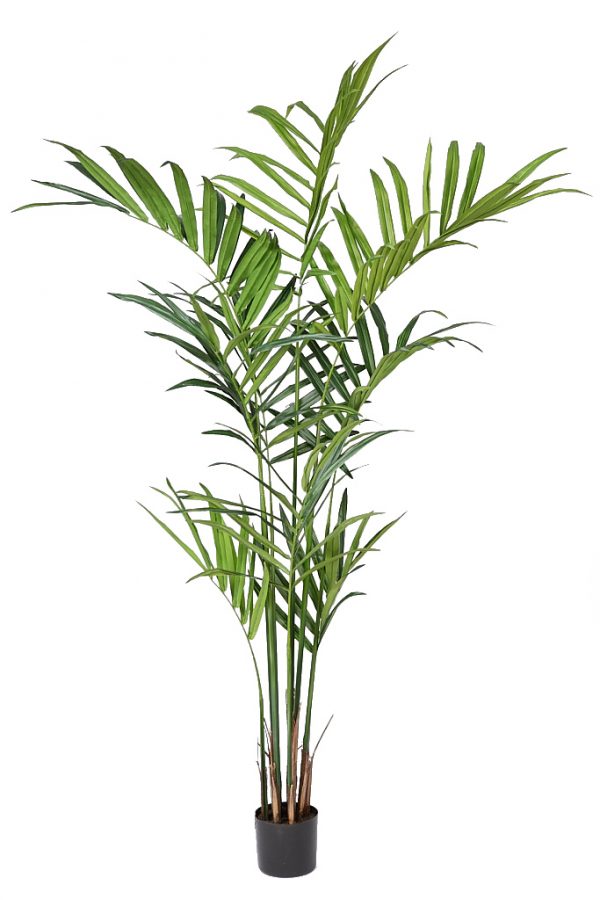 71431.jpeg Planta Kentia Artificial Deluxe 210Cm - Imagen 1