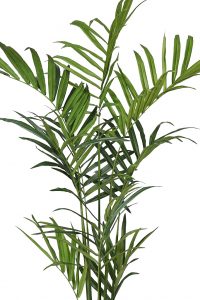 Planta Kentia Artificial Deluxe 210Cm - Imagen 2