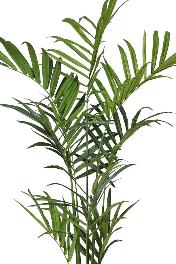 71431_2.jpeg Planta Kentia Artificial Deluxe 210Cm - Imagen 2