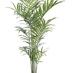 Planta Kentia Artificial Deluxe 235Cm