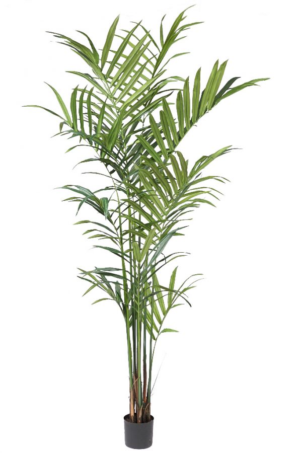 71432.jpeg Planta Kentia Artificial Deluxe 235Cm - Imagen 1