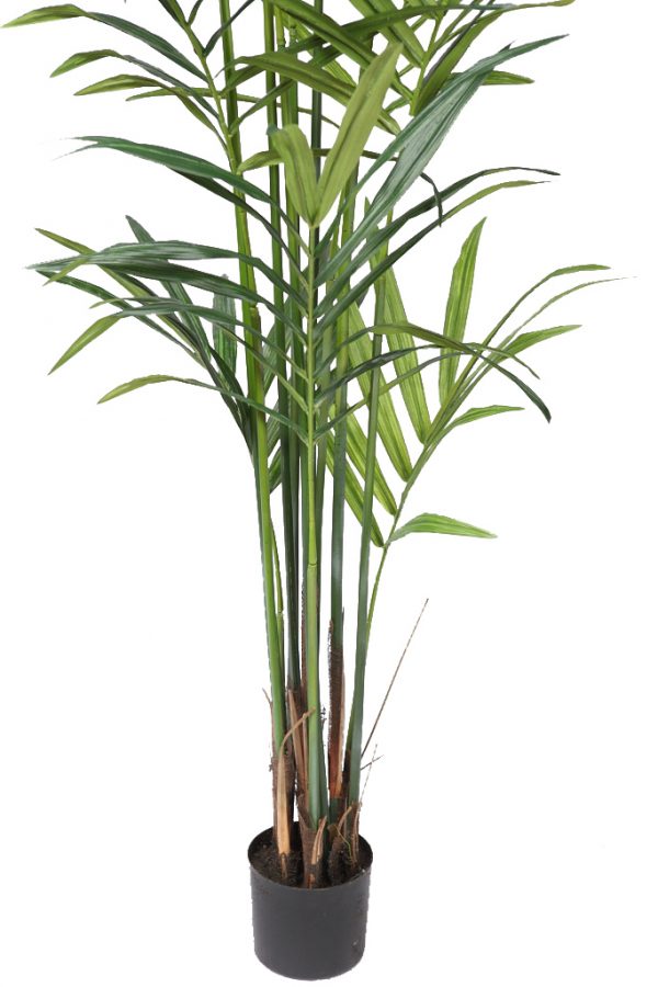 Planta Kentia Artificial Deluxe 235Cm - Imagen 2