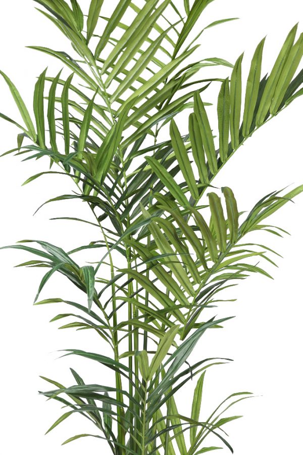 Planta Kentia Artificial Deluxe 235Cm - Imagen 3