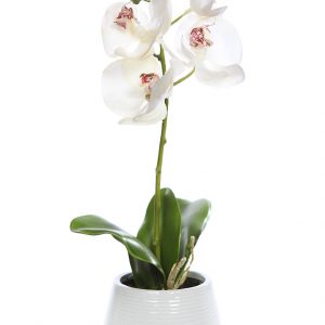 Orquidea Phalaenopsis Artificial Con Maceta 37.5CM