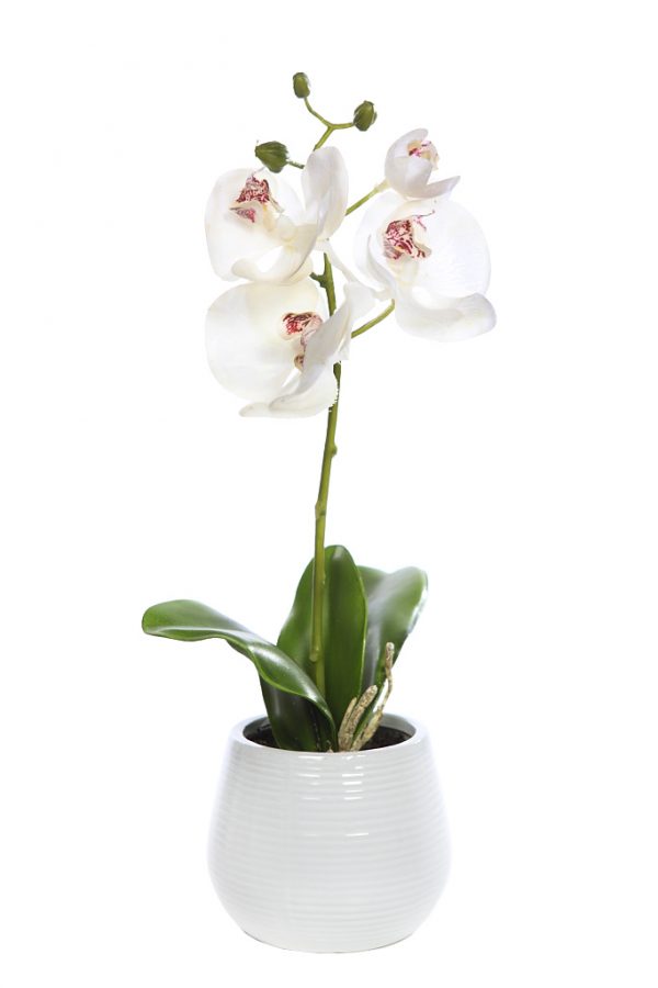 Orquidea Phalaenopsis Artificial Con Maceta 37.5CM - Imagen 1