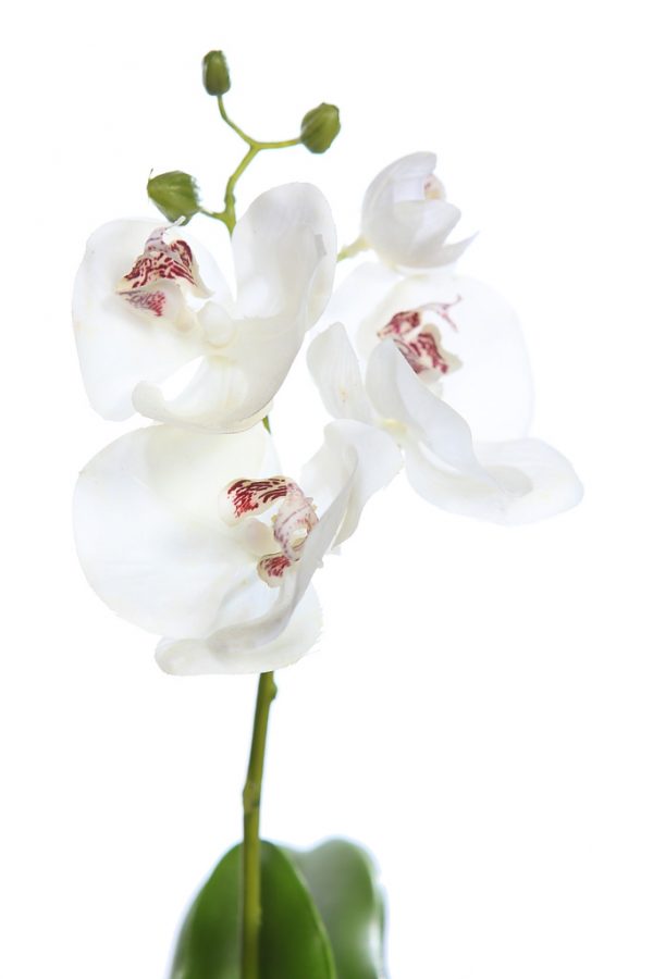 Orquidea Phalaenopsis Artificial Con Maceta 37.5CM - Imagen 2