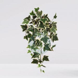 Mata Hiedra Bicolor De Colgar Artificial 70Cm