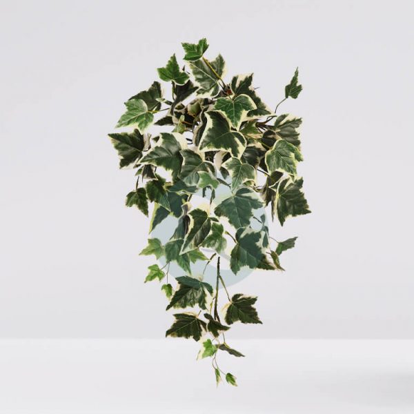 72001 Mata Hiedra Bicolor De Colgar Artificial 70Cm - Imagen 1