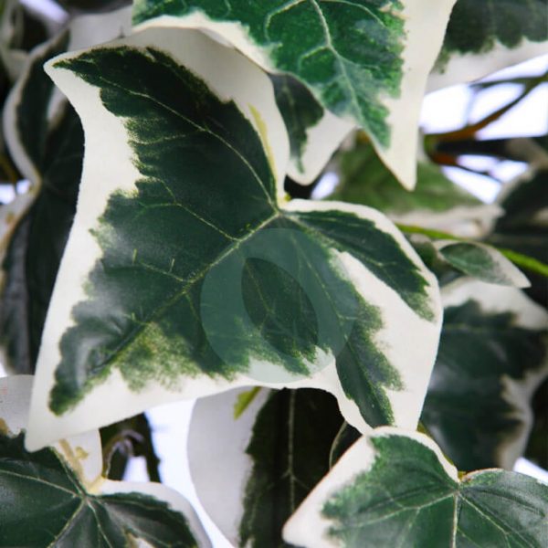 Mata Hiedra Bicolor De Colgar Artificial 70Cm - Imagen 2