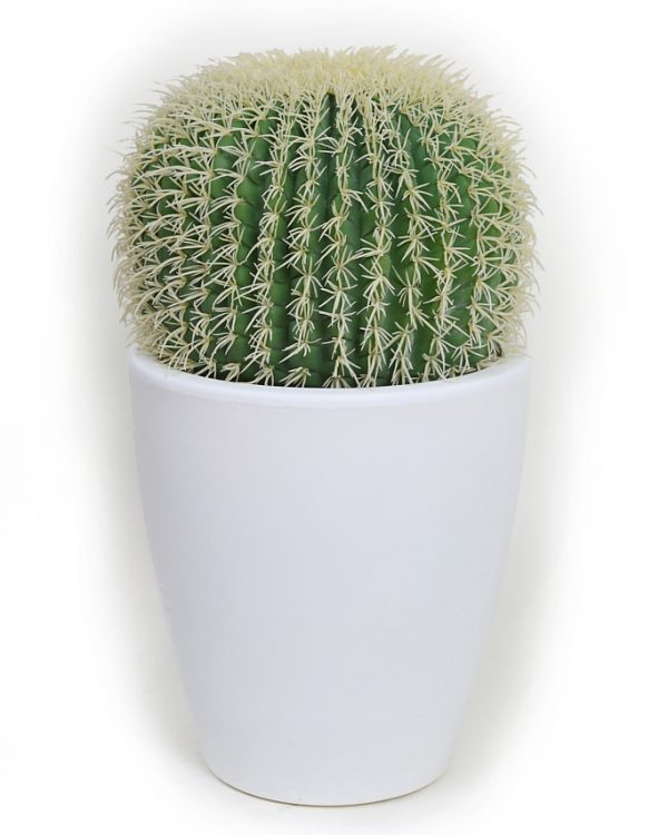 Cactus Barrel Artificial 32Cm - Imagen 4