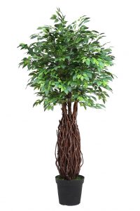 Ficus Artificial Tronco Liana 160Cm