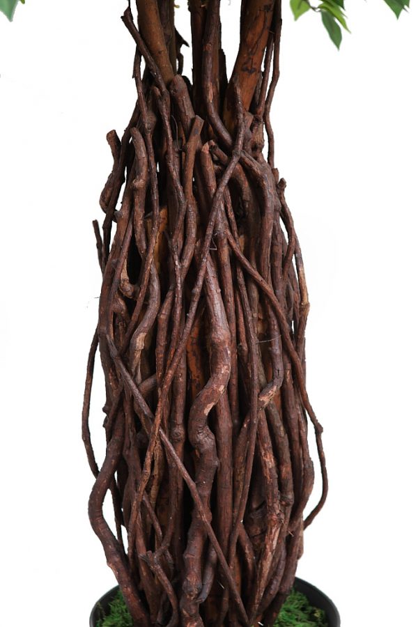 Ficus Artificial Tronco Liana 160Cm - Imagen 3