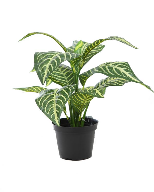 72044M.jpeg Apelandra Artificial Tacto Natural 45Cm En Maceta - Imagen 1