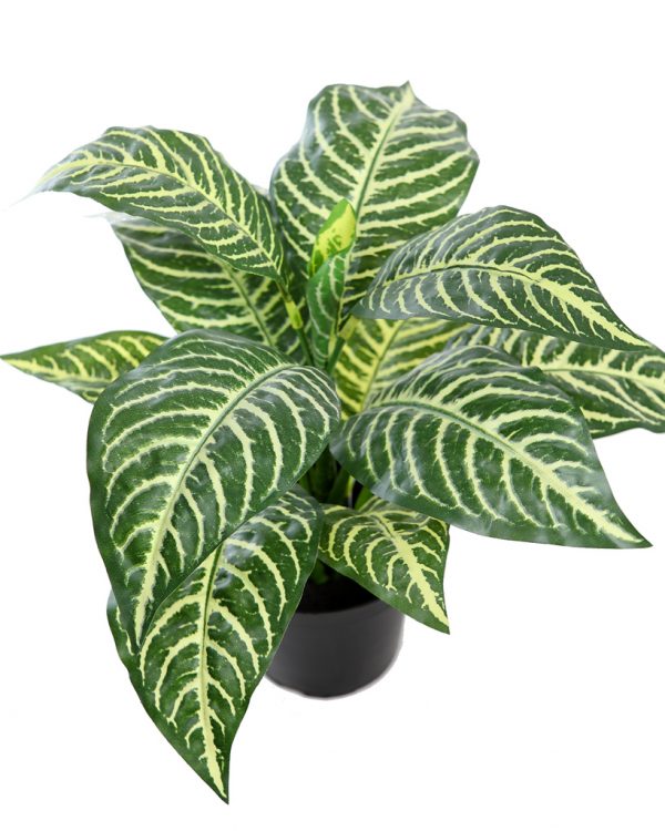 Apelandra Artificial Tacto Natural 45Cm En Maceta - Imagen 2