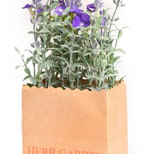 LAVANDA EN BOLSA DE PAPEL 21 CM
