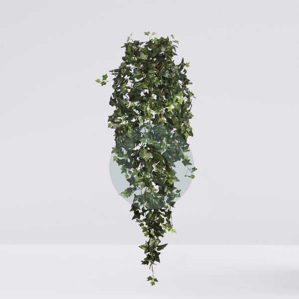 Monstera plant in pot isolated on white background. Minimal trop Hiedra Artificial De Colgar 135Cm - Imagen 1