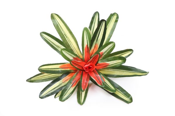 72361.jpeg BROMELIA ARTIFICIAL ALT 30CM ø 45CM - Imagen 1