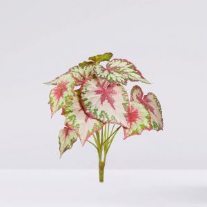Planta Begonia Tacto Natural V. 50Cm