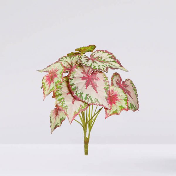 72539 Planta Begonia Tacto Natural V. 50Cm - Imagen 1