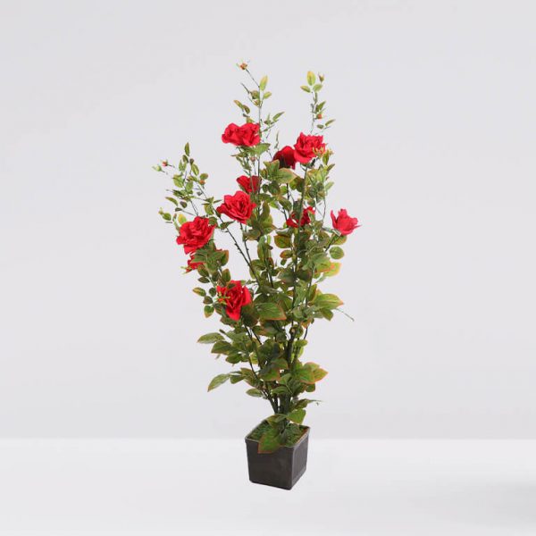 72551 Planta Rosal 140Cm - Imagen 1