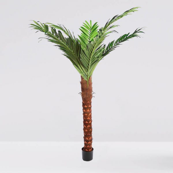 Palmera Artificial Oil X 8, Alt 264Cm - Imagen 1