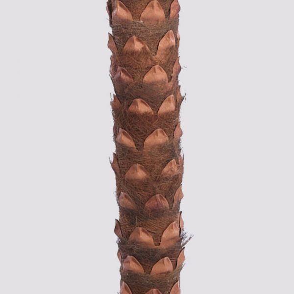 Palmera Artificial Oil X 8, Alt 264Cm - Imagen 2
